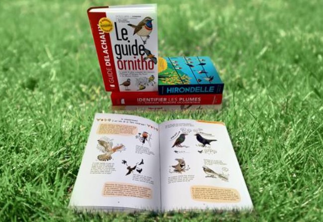 Soirée lectures à voix haute sur les oiseaux